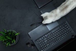 Lenovo ThinkPad P17 Gen 2 to najmocniejszy laptop na świecie